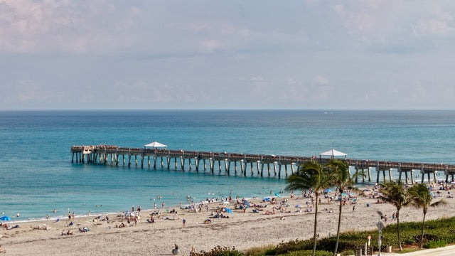 Busy Juno Beach