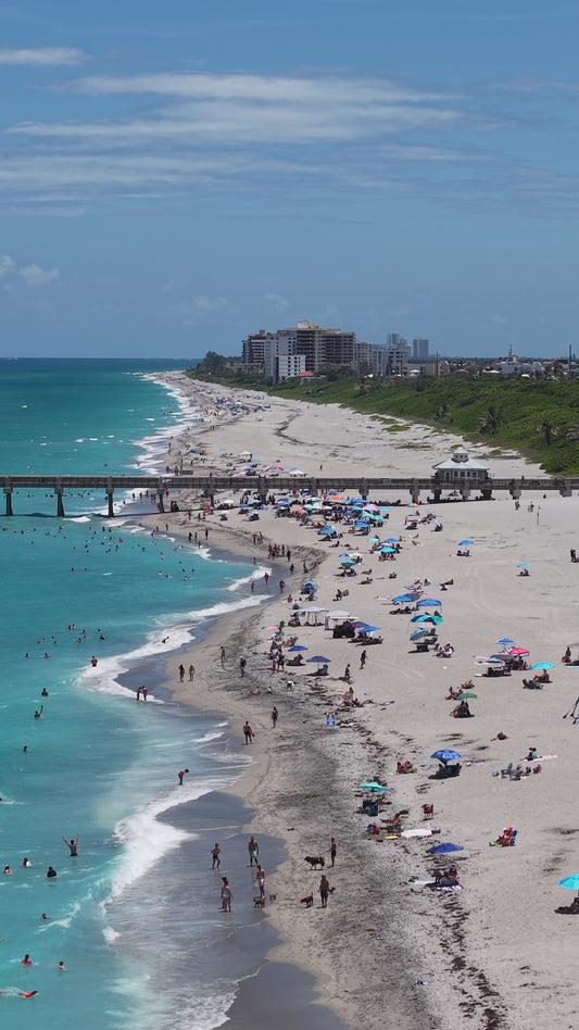 Busy Day at the Pier