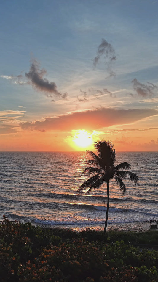 Beach Sunrise