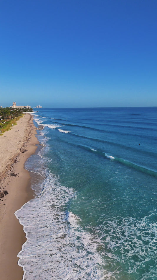 Ocean Blvd. Palm Beach Waves