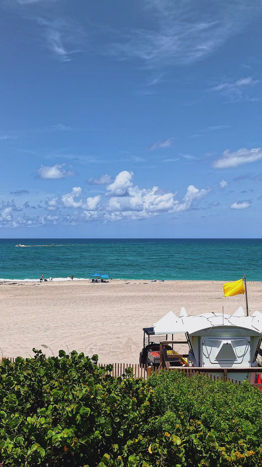 Summer in Jupiter