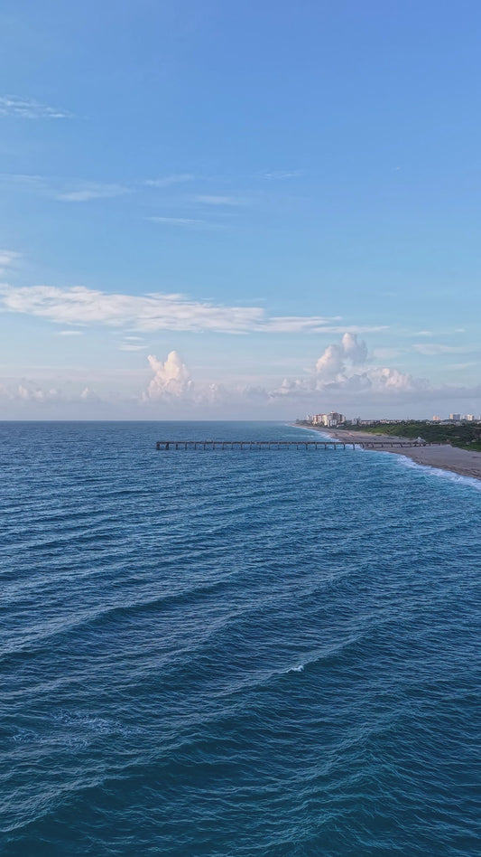 Juno Beach Day