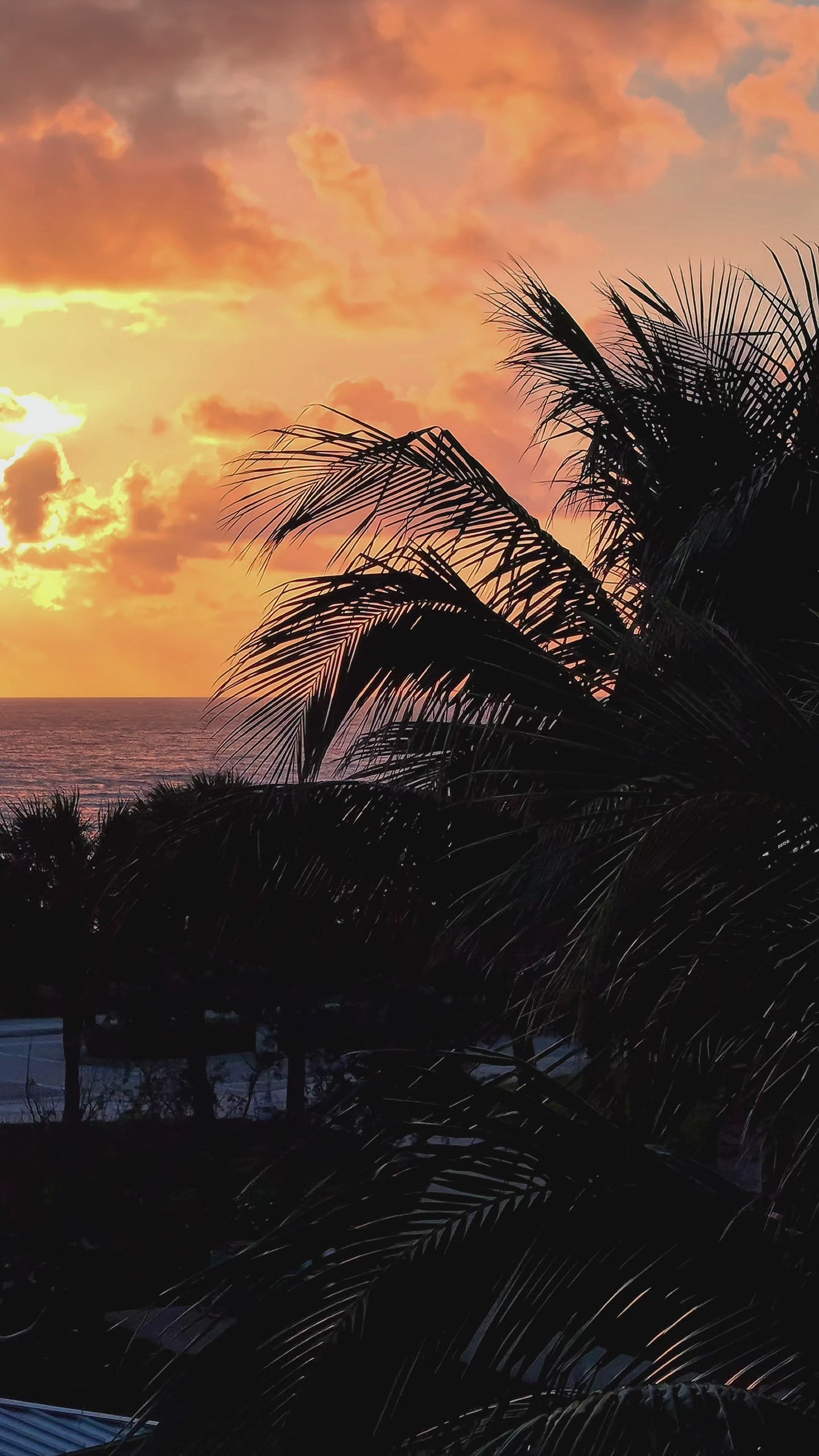 Jupiter Sunrises 2
