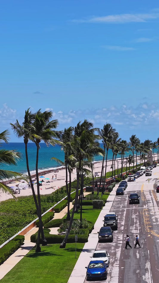 Palm Beach Summer