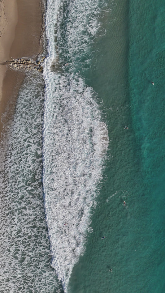 Ocean Blvd. Waves