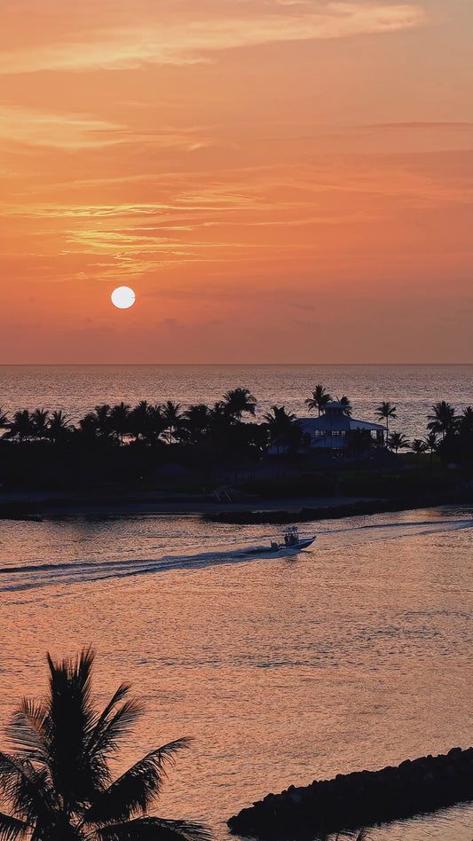 Summer Sunrise