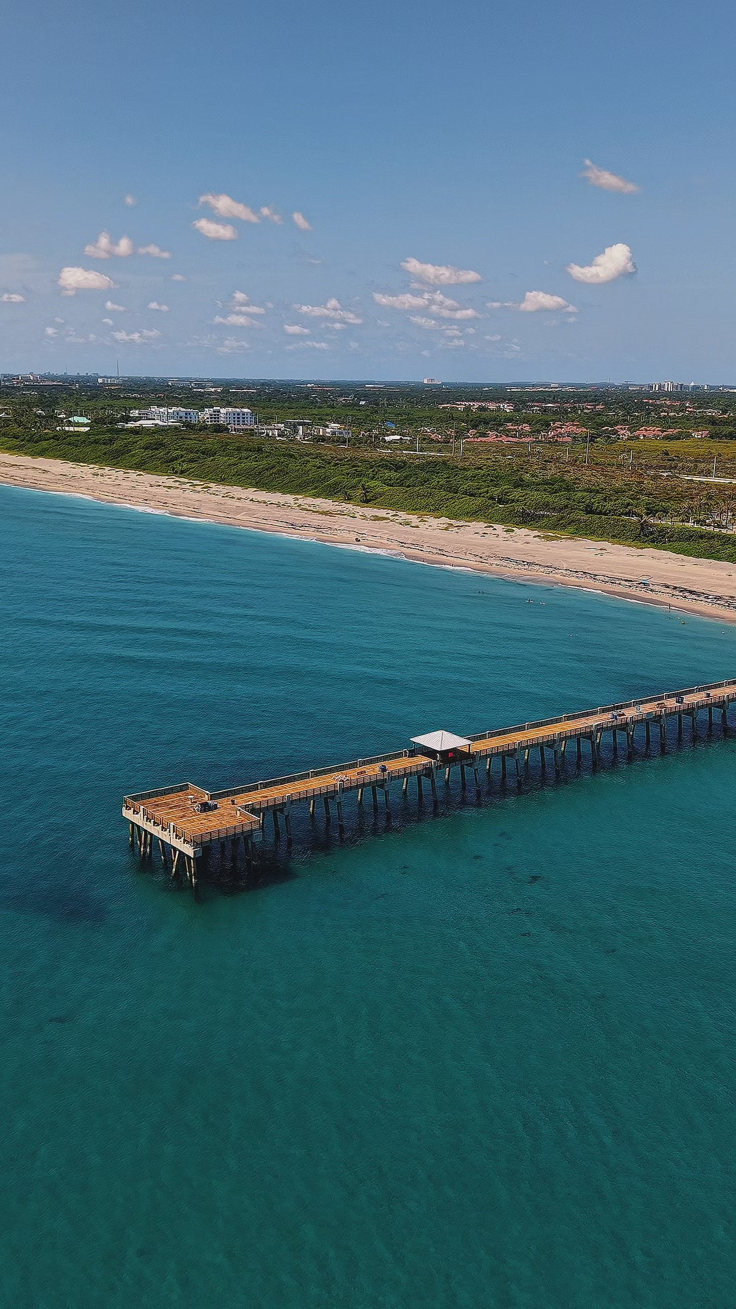 Juno Beach Blues