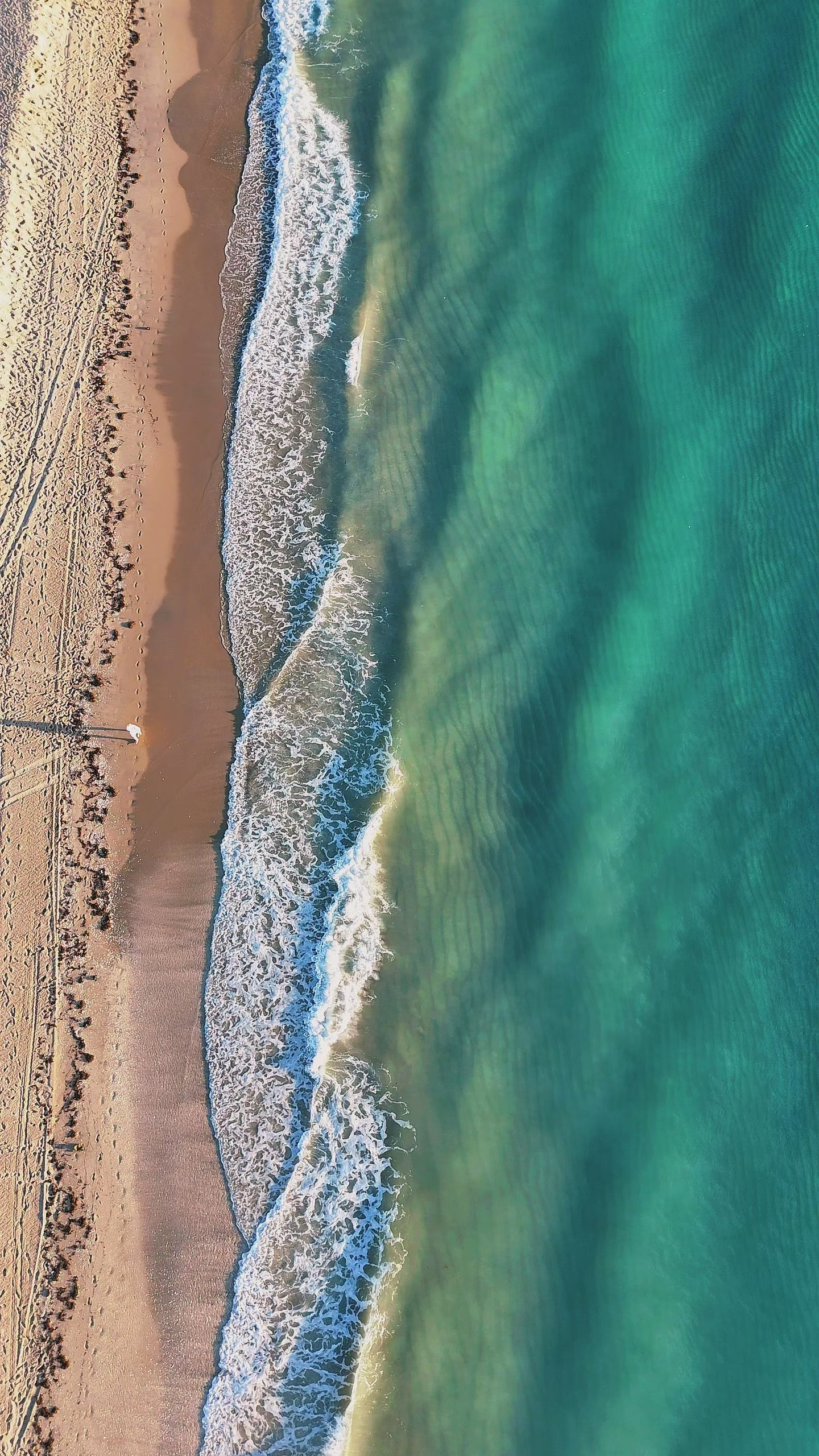 Morning Beach Walk