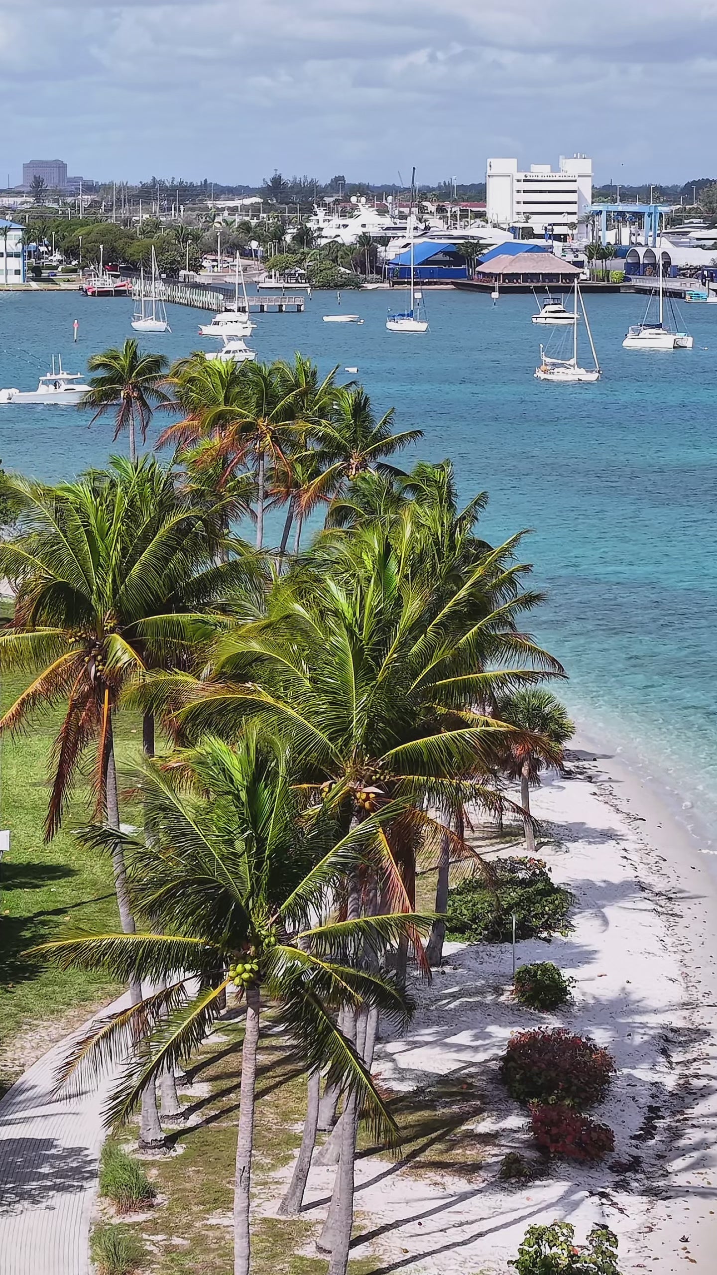 Peanut Island Boat