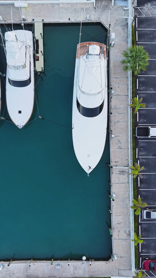 Morning Marina