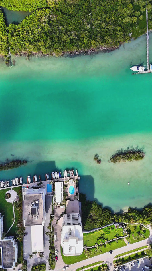 Jupiter Island Topdown