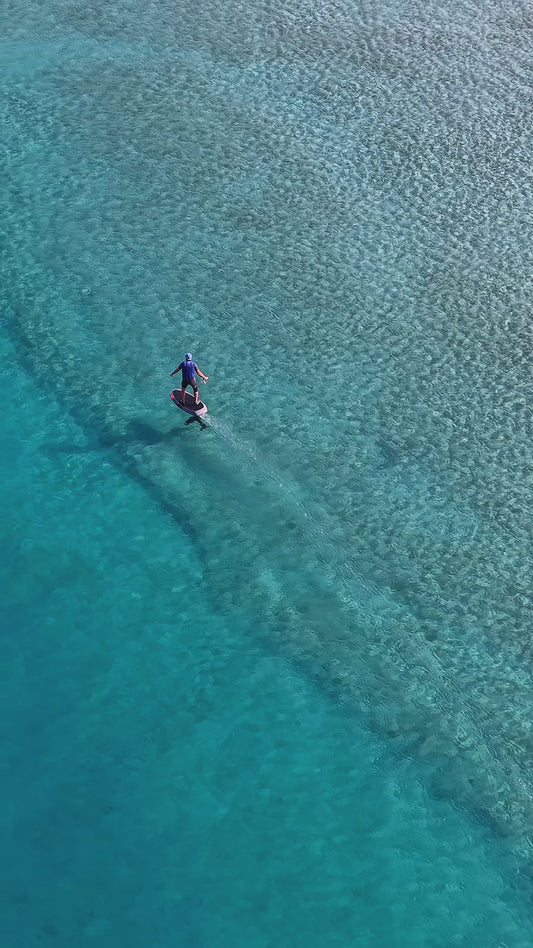 Cruising High Tide