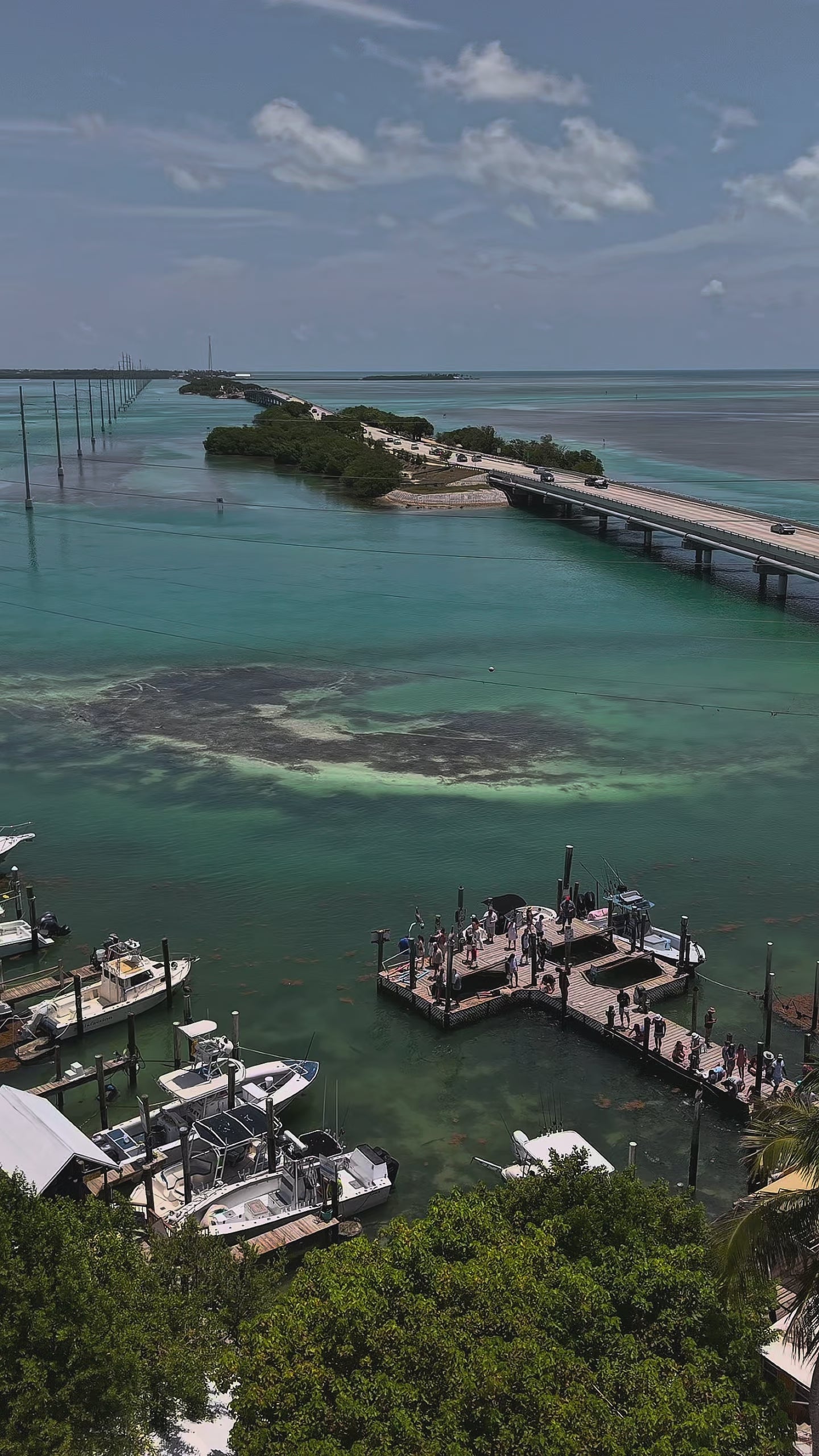 Robbie’s in Islamorada Key